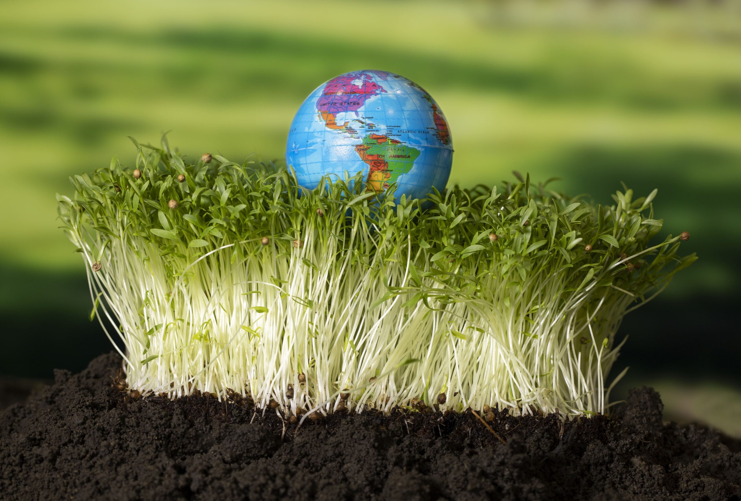 Connecting Indian Agriculture to the World: Asiaflock Enterprises’ Global Mission