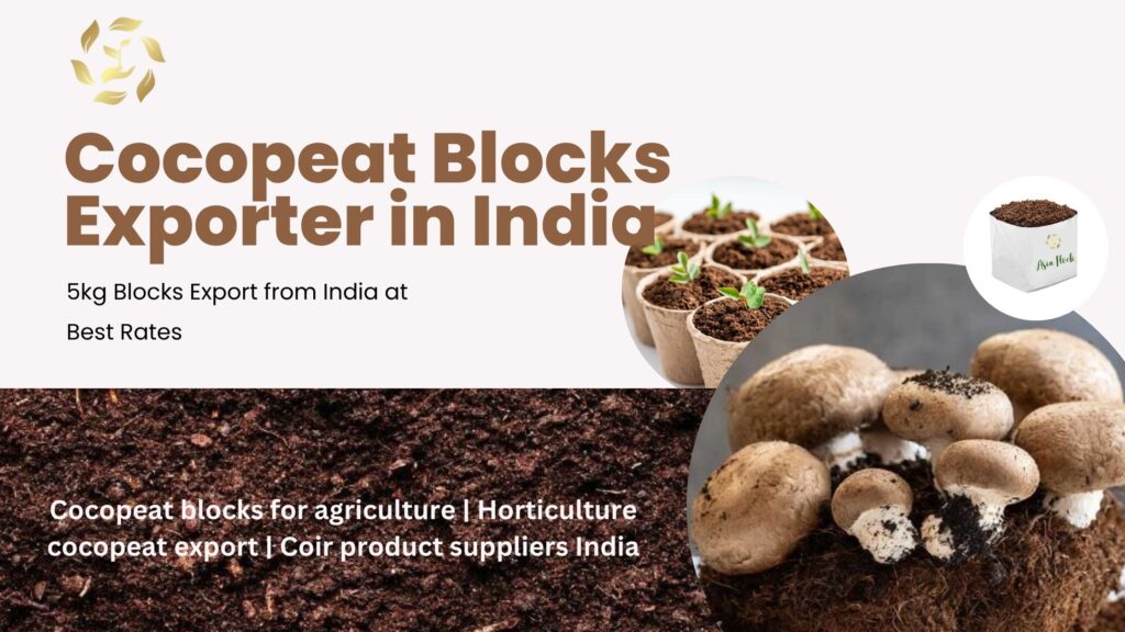 Cocopeat Blocks Exporter in India – 5kg Blocks Export from India at Best Rates