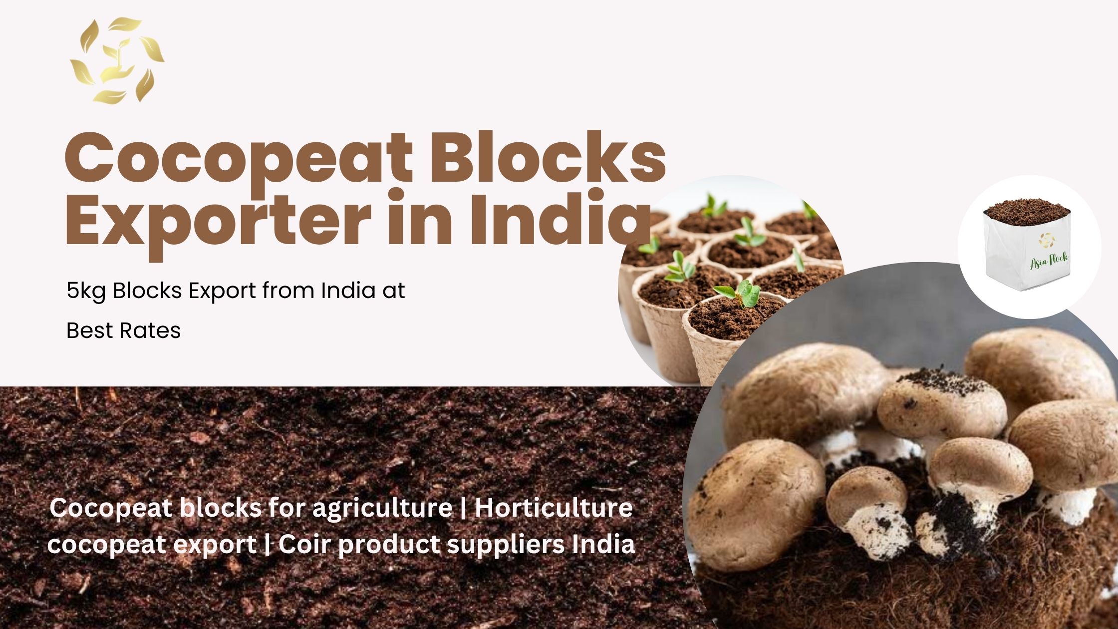 Cocopeat Blocks Exporter in India – 5kg Blocks Export from India at Best Rates