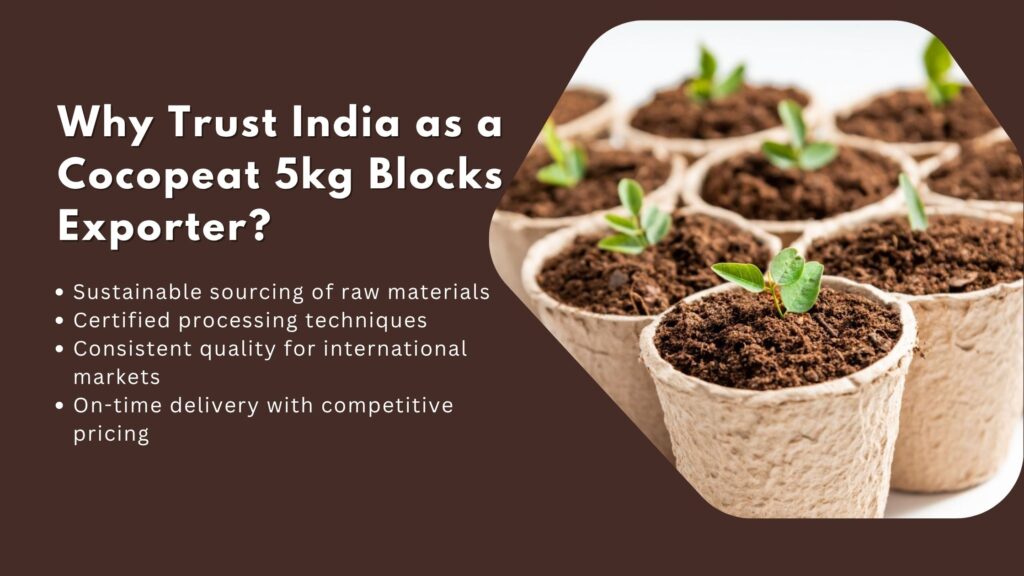 Exporter of Cocopeat 5kg Blocks