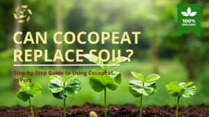how to use cocopeat for plants
