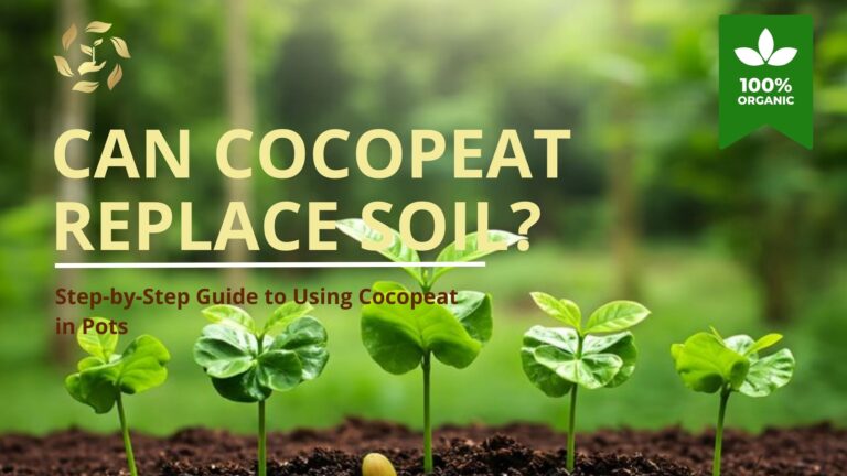 how to use cocopeat for plants