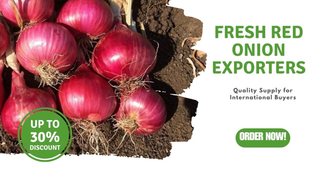 Fresh Red Onion Exporters: Quality Supply for International Buyers