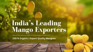 mango export from india