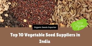 top 10 vegetable seed companies in india