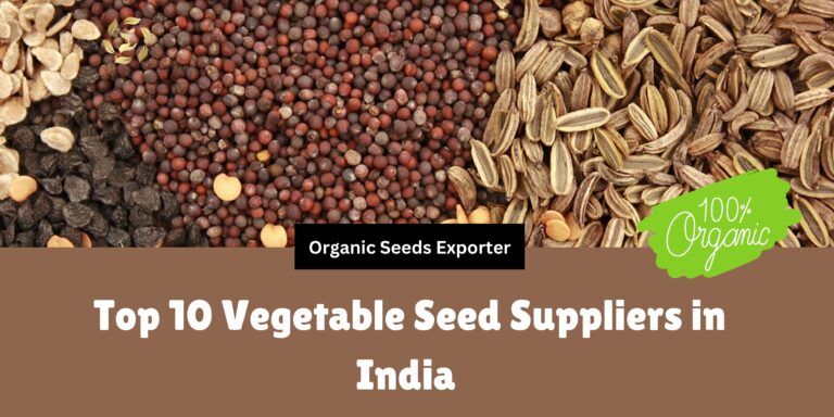 top 10 vegetable seed companies in india