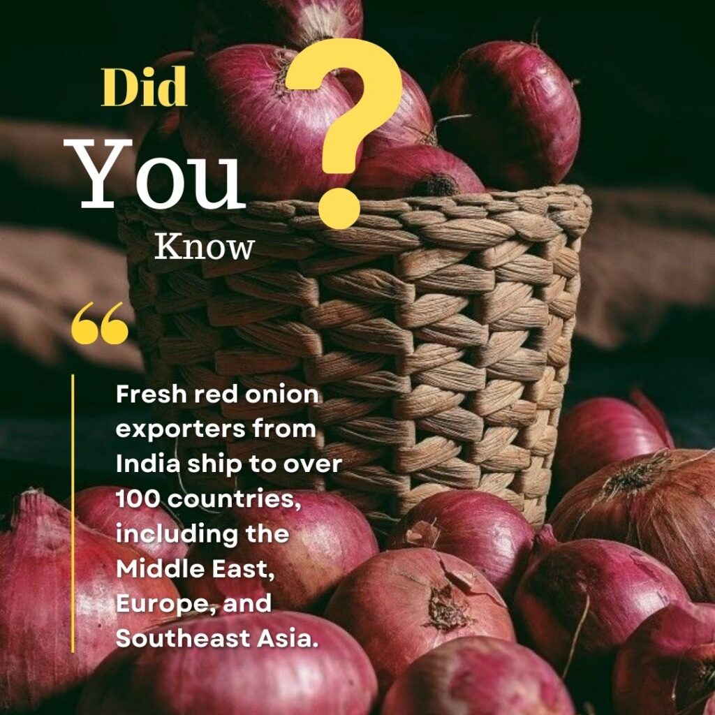 fresh onion exporters in india  