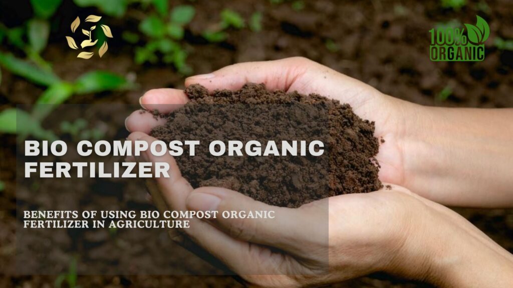 Benefits of Using Bio Compost Organic Fertilizer in Agriculture