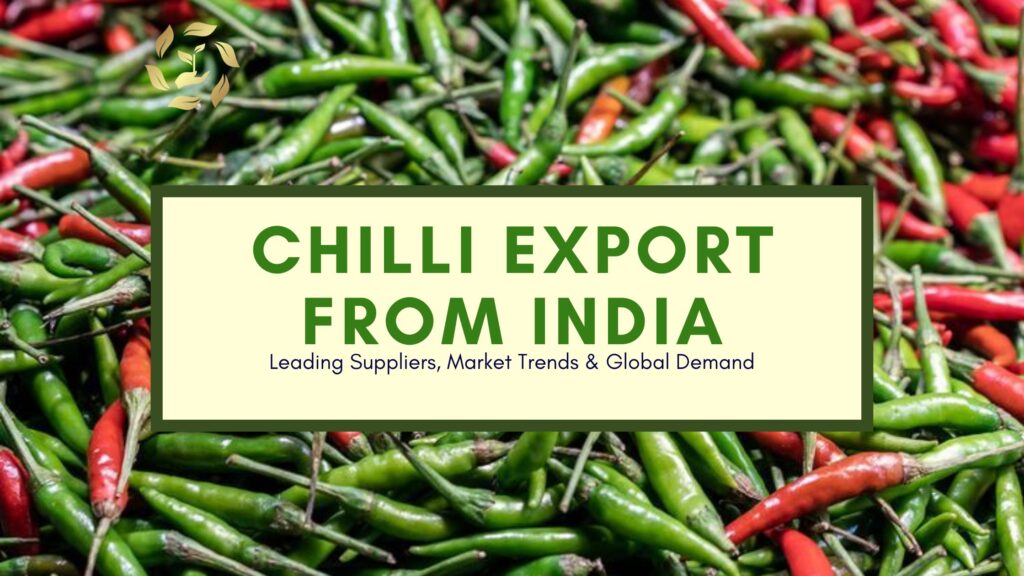 Chilli Export from India: Leading Suppliers, Market Trends & Global Demand