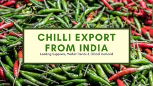 chilli export from india