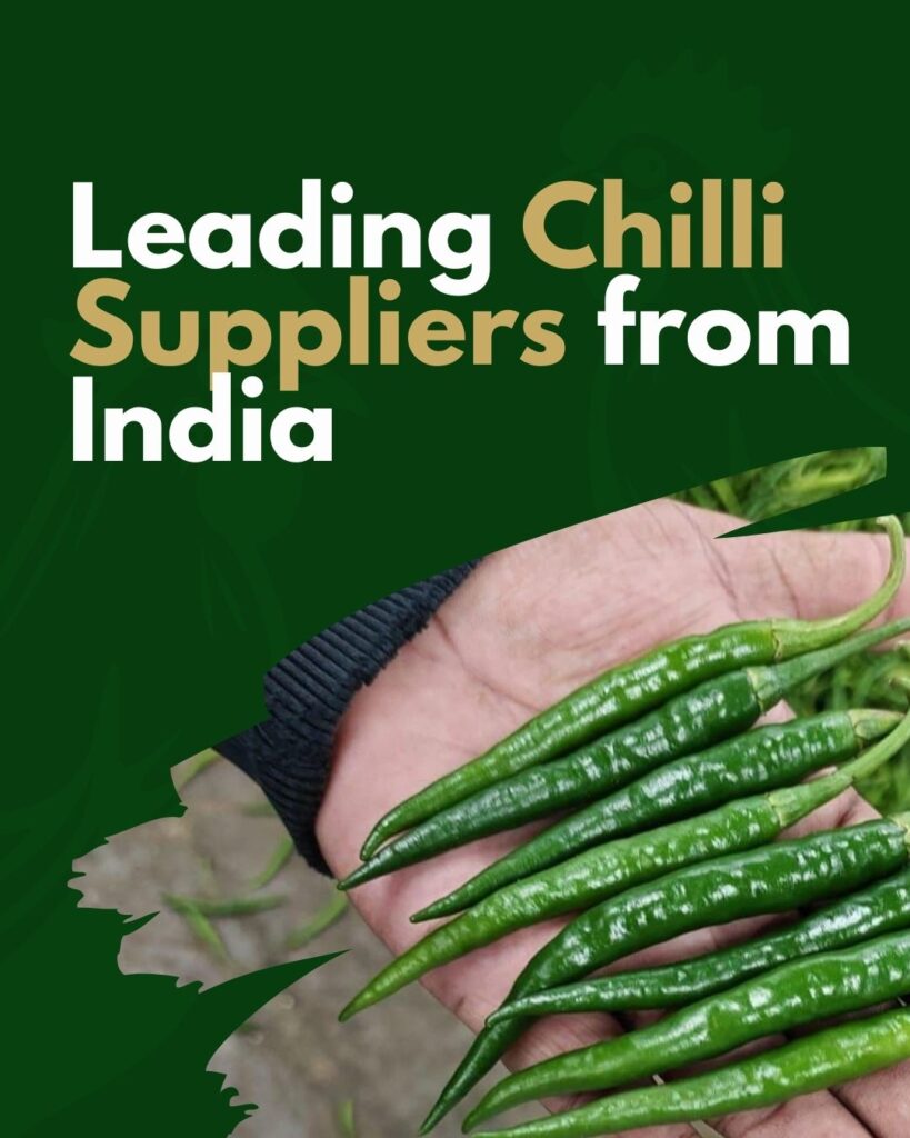 green chilli export from india    
