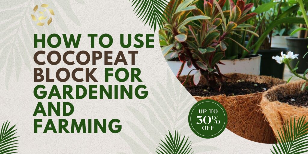 How to Use Cocopeat Block for Gardening and Farming