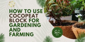 how to use cocopeat block