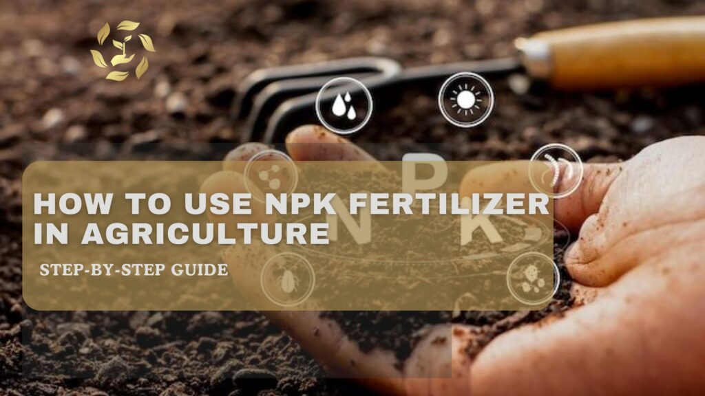Step-by-Step Guide: How to Use NPK Fertilizer in Agriculture