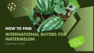 watermelon export from india