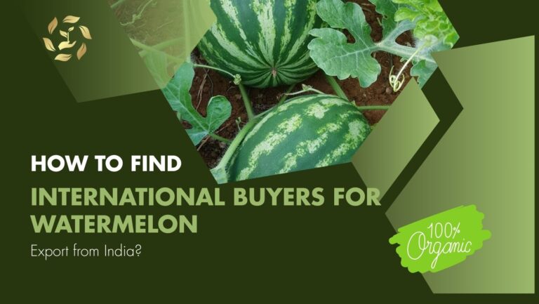 watermelon export from india