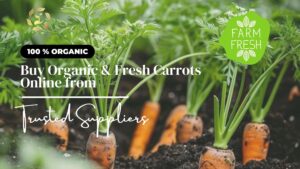 buy carrot online