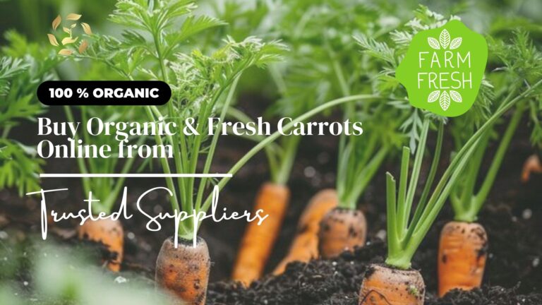 buy carrot online