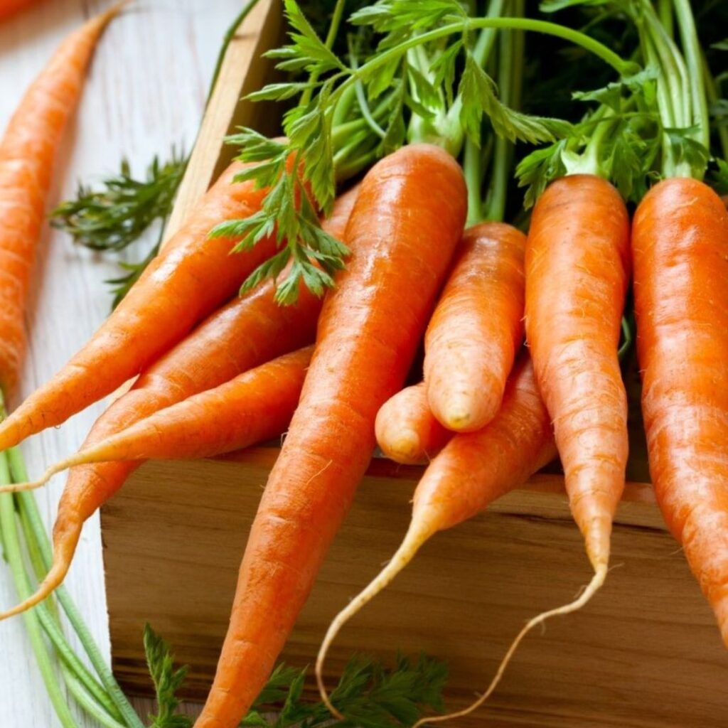 buy carrot online