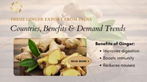 ginger export from india
