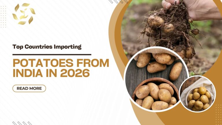 top countries importing potatoes from India