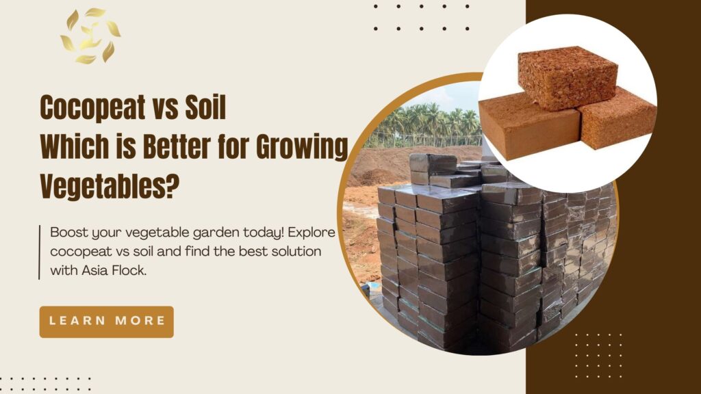 Cocopeat vs Soil: Which is Better for Growing Vegetables?