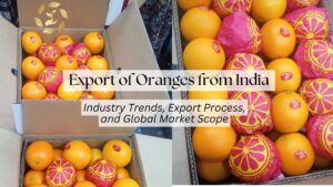 export of oranges from india