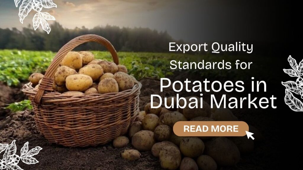 Export Quality Standards for Potatoes in Dubai Market