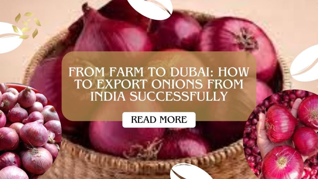 From Farm to Dubai: How to Export Onions from India Successfully