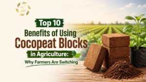 benefits of cocopeat in agriculture
