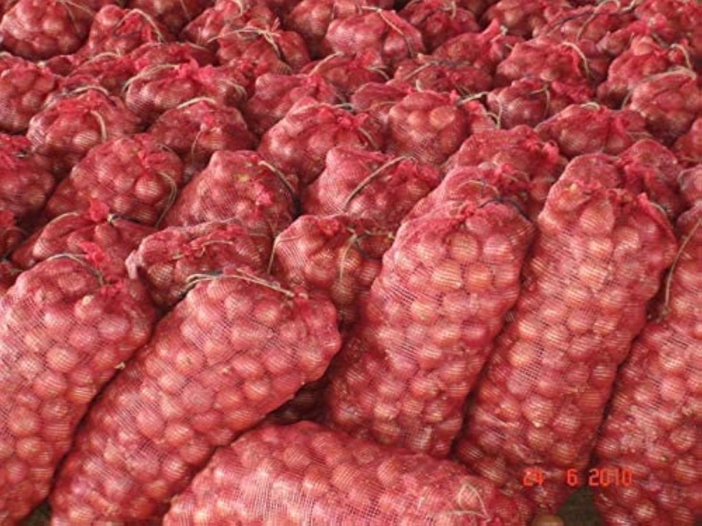 onion export packing