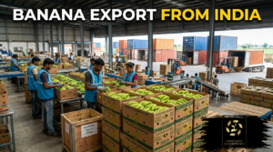 banana export from india