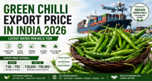 Green Chilli Export Price in India