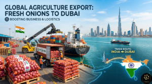 Export Onions from India to Dubai