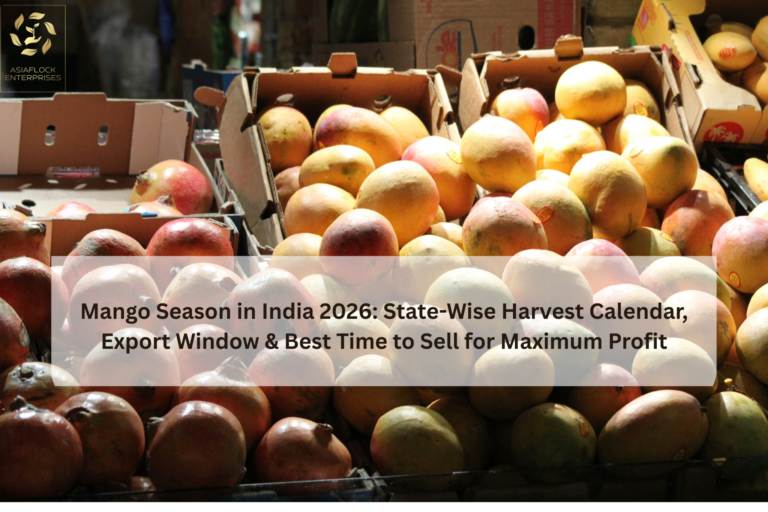 Mango export in India 2026