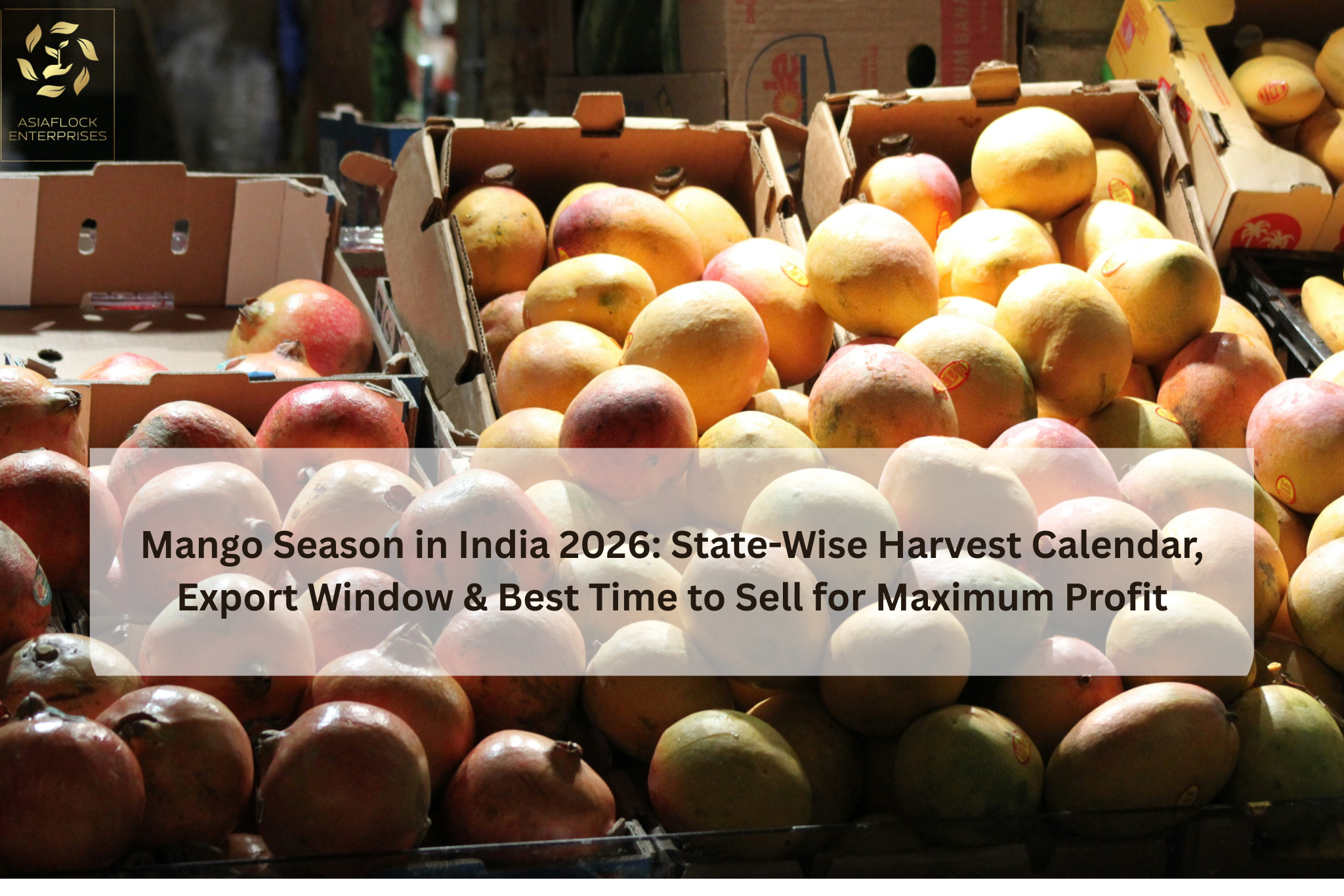 Mango export in India 2026