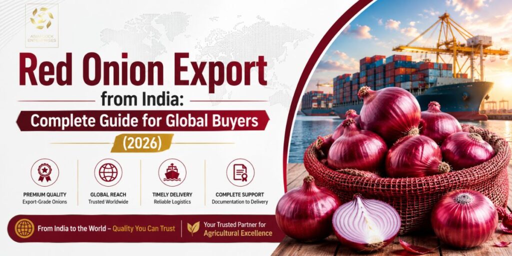 Red Onion Export from India: Complete Guide for Global Buyers (2026)