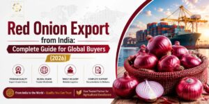 Red Onion Export from India