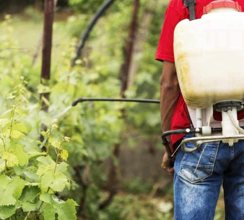 back-view-farmer-watering-plants