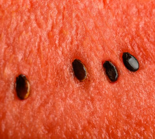 detailed-closeup-watermelon-background