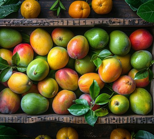 mango-still-life (1)