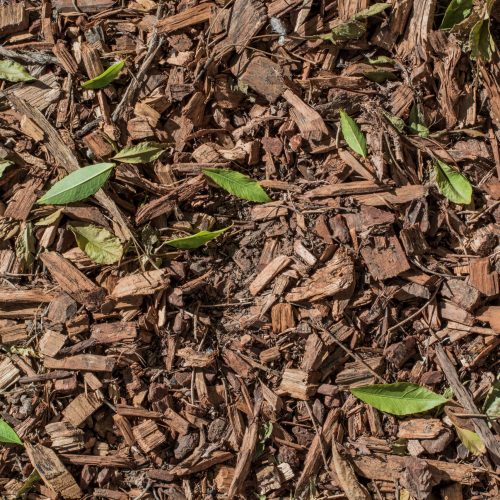 nature-ground-texture