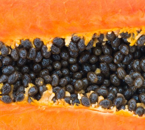 papaya-fruit