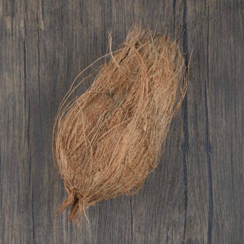 Single hairy hard coconut on wooden surface